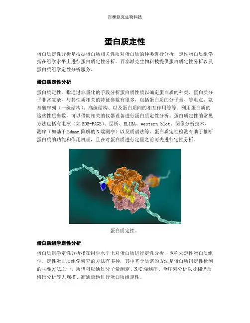 蛋白质定性
