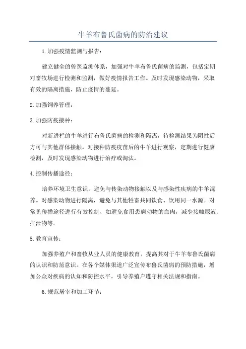 牛羊布鲁氏菌病的防治建议