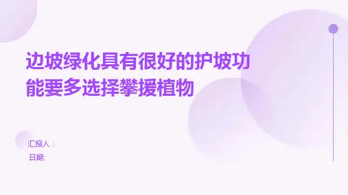 边坡绿化具有很好的护坡功能要多选择攀援植物