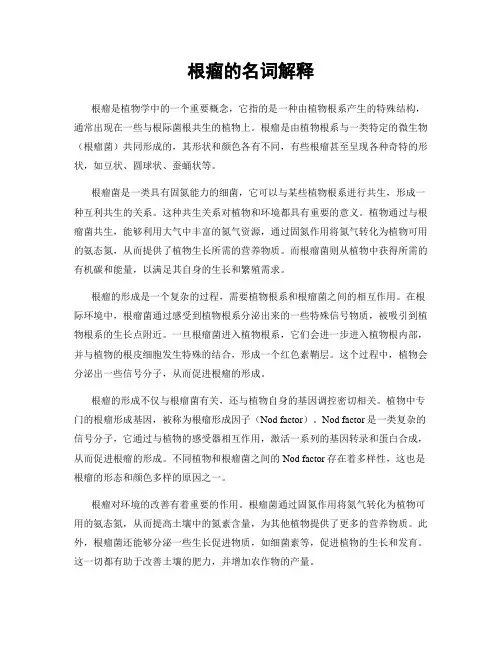根瘤的名词解释