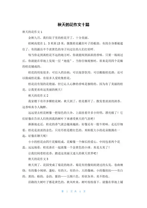秋天的花作文十篇