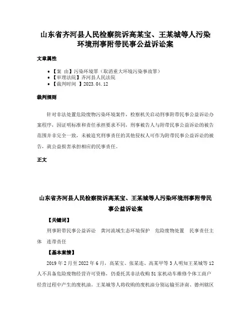 山东省齐河县人民检察院诉高某宝、王某城等人污染环境刑事附带民事公益诉讼案