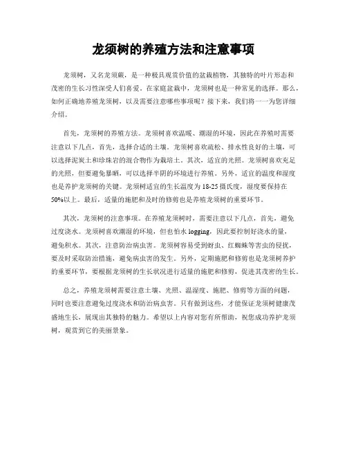 龙须树的养殖方法和注意事项