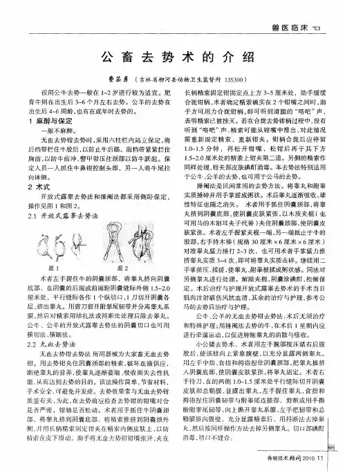 公畜去势术的介绍