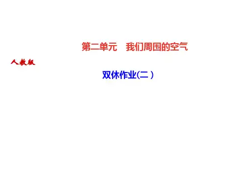 人教版九年级化学上册精练课件：第二单元  双休作业(二)(共22张PPT)