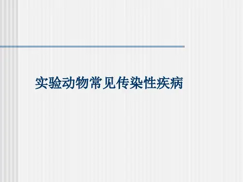 dd第四章 实验动物常见传染性疾病 一、概 述 实验动物传染病的危害