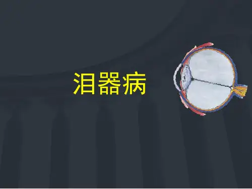 泪道疾病  ppt课件