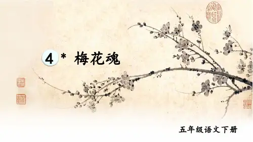 统编版五年级语文下册第4课《梅花魂》优质课件(共72张PPT)