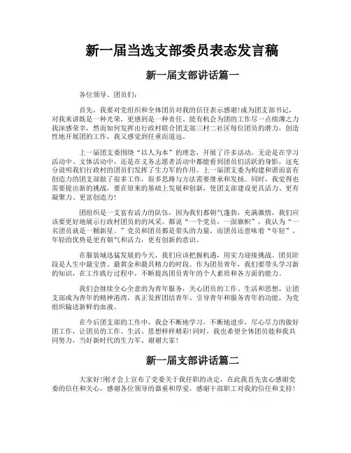 新一届当选支部委员表态发言稿