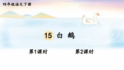 部编人教版语文四年级下册第15课《白鹅》课件PPT