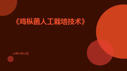 鸡枞菌人工栽培技术