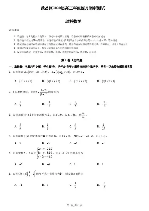 武昌区2020届高三4月调考理科数学试卷及其答案
