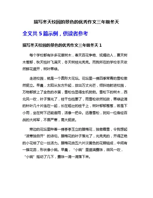描写冬天校园的景色的优秀作文三年级冬天