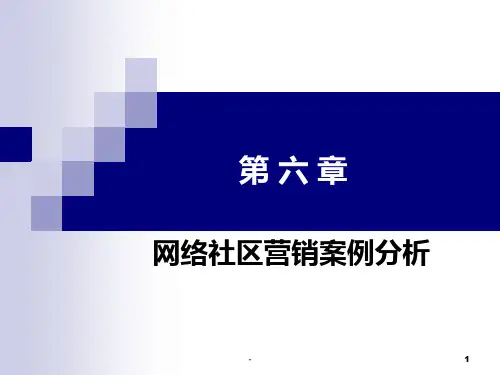 第六章网络营销案例分析PPT课件