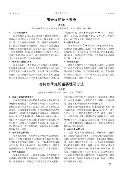 玉米施肥技术要点