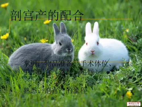 剖宫产的配合