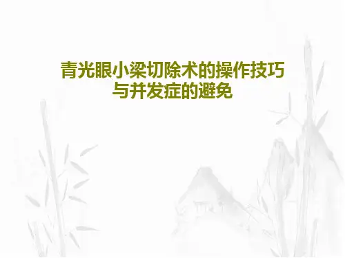青光眼小梁切除术的操作技巧与并发症的避免28页PPT