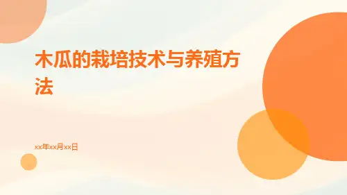木瓜的栽培技术与养殖方法