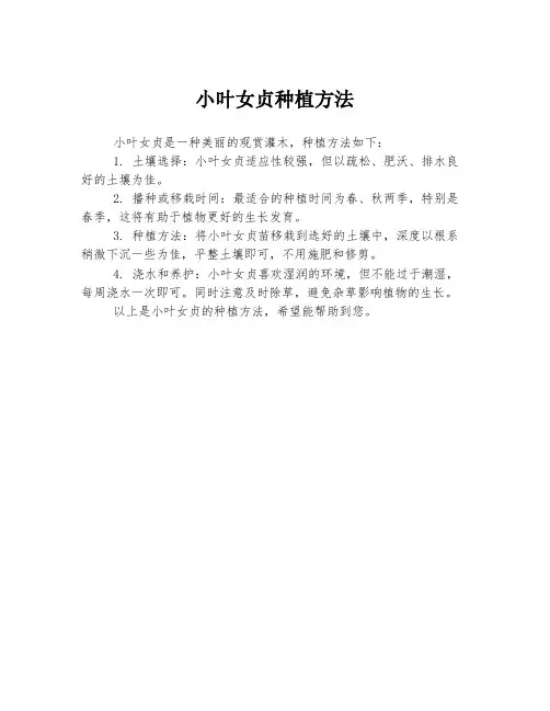 小叶女贞种植方法
