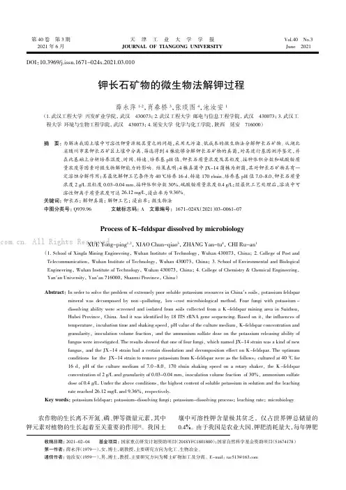 钾长石矿物的微生物法解钾过程