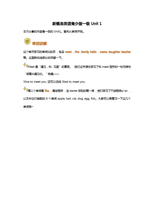 新概念英语青少版一级1AU1Unit1知识点讲义宝典-学案教案-小学英语