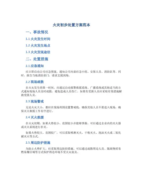 火灾初步处置方案范本