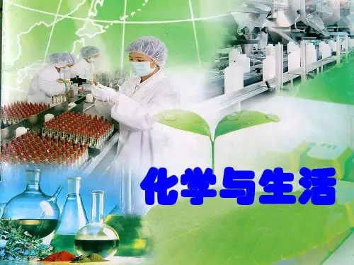 化学与生活11 人教课标版精选教学PPT课件