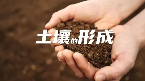 土壤的形成ppt课件