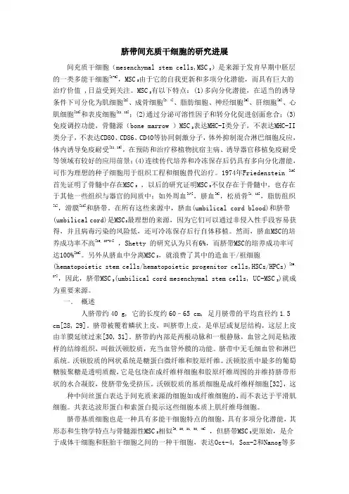 脐带干细胞综述