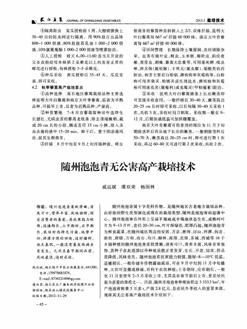 随州泡泡青无公害高产栽培技术