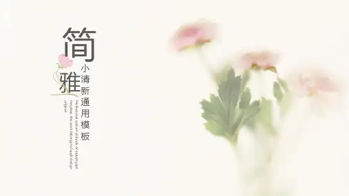 小清新简雅通用模板