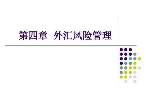 第3章外汇风险管理ppt第五章外汇风险管理
