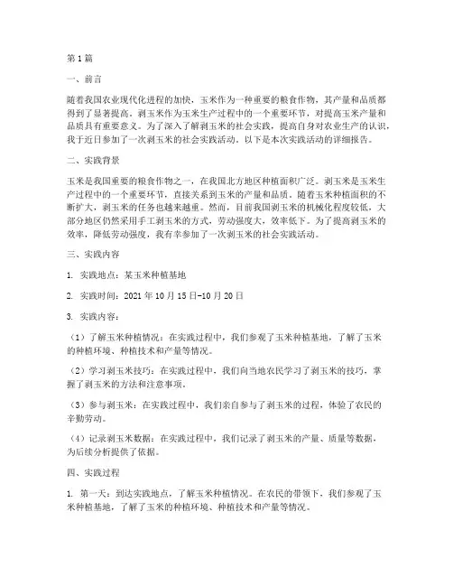 剥玉米社会实践报告(2篇)