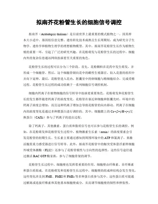 拟南芥花粉管生长的细胞信号调控