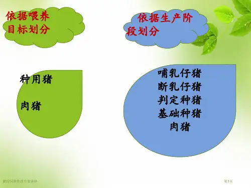 猪的饲养管理专家讲座