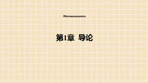《微观经济学》课件(全)