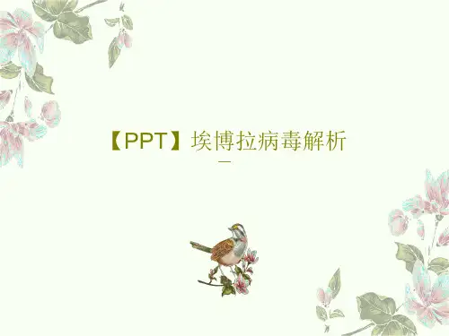 【PPT】埃博拉病毒解析22页PPT