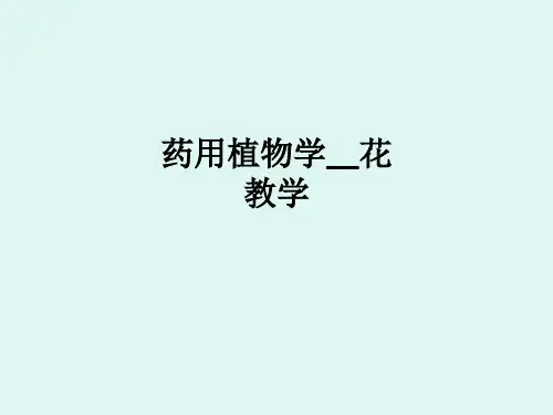 药用植物学__花ppt课件