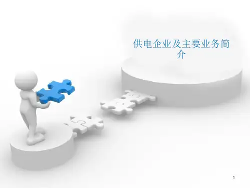 供电企业及主要业务简介