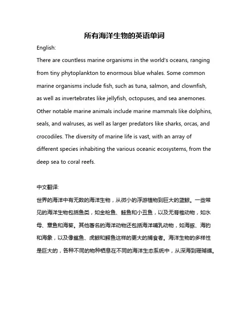 所有海洋生物的英语单词