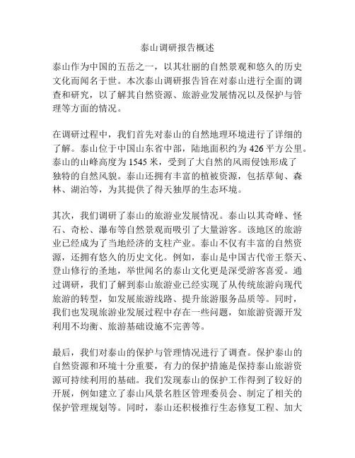 泰山调研报告概述