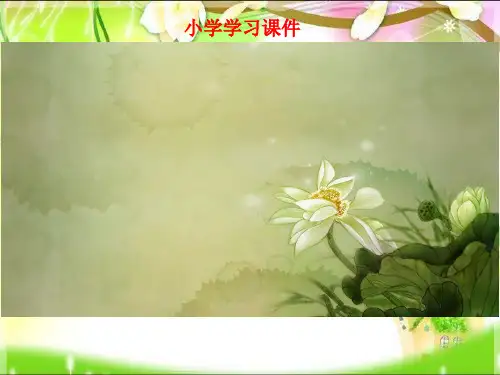 小升初语文复习病句修改专题复习张.ppt