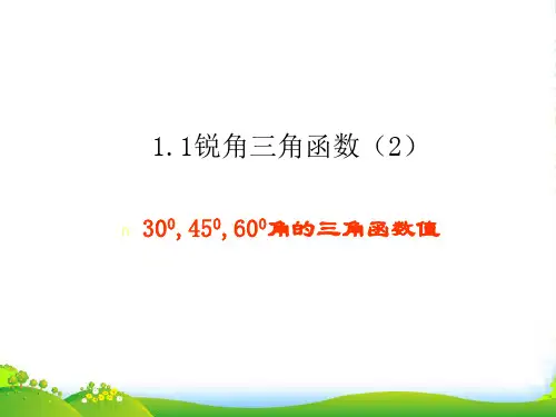 新浙教版九年级数学下册第一章《锐角三角函数2》优质公开课课件