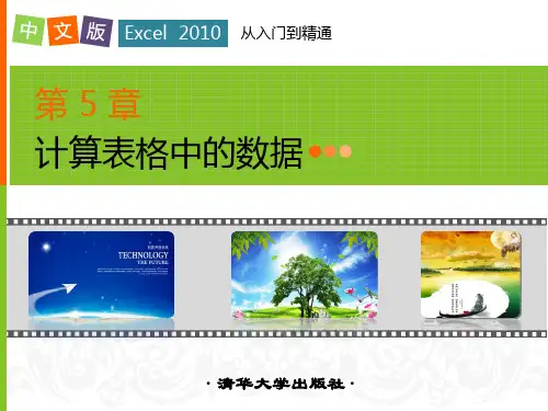 第5章计算表格中的数据 中文版Excel 2010从入门到精通课件