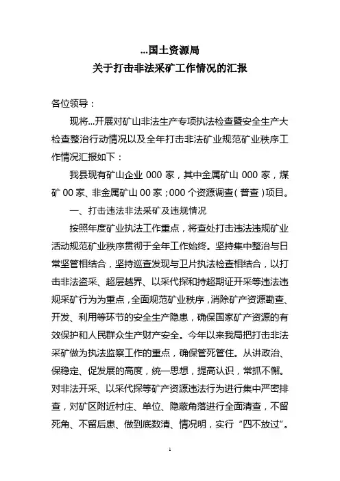 国土资源局打击非法采矿工作汇报