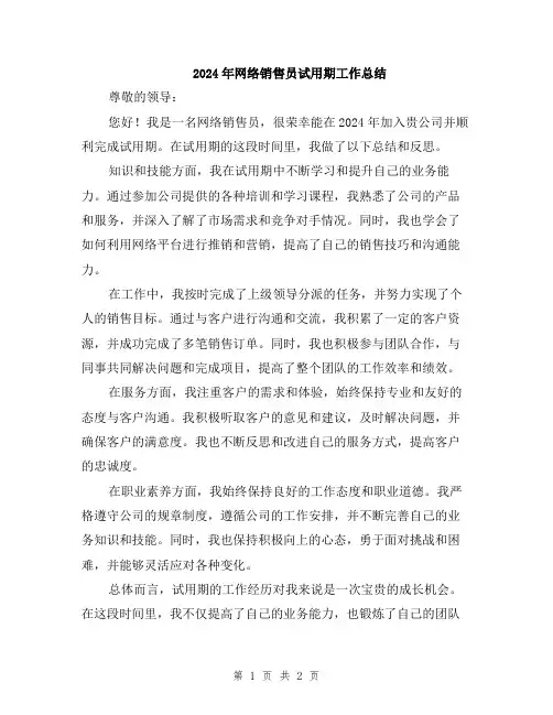 2024年网络销售员试用期工作总结