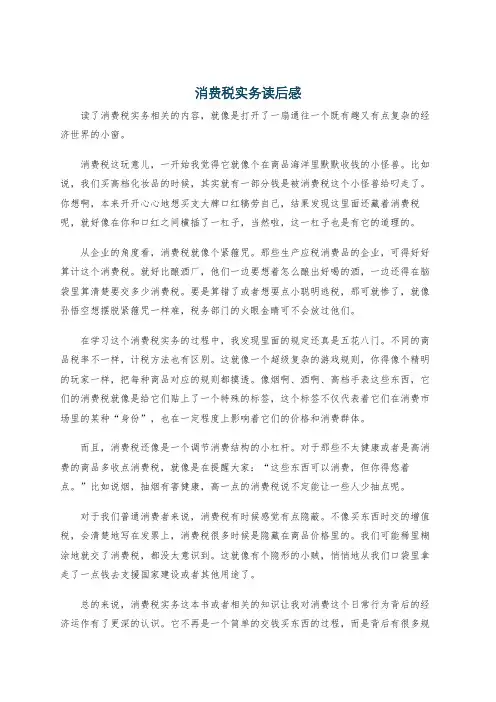 消费税实务读后感