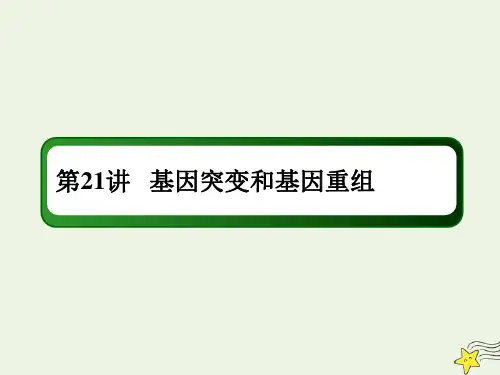 2021高考生物一轮复习第21讲基因突变和基因重组课件新人教版
