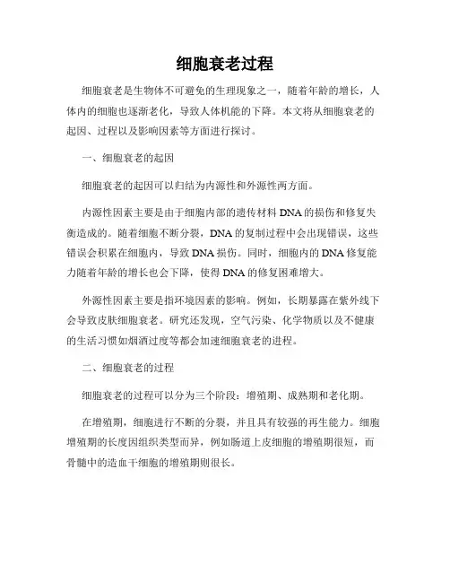 细胞衰老过程