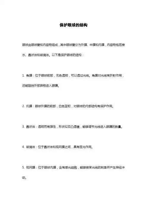保护眼球的结构